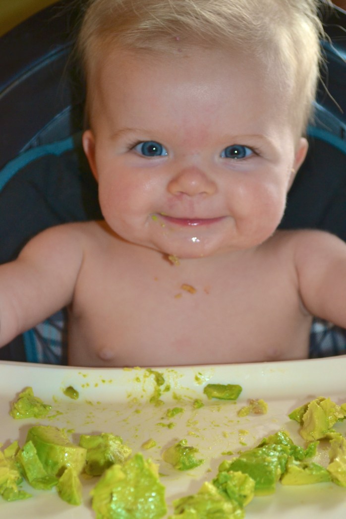 Avocado For Baby