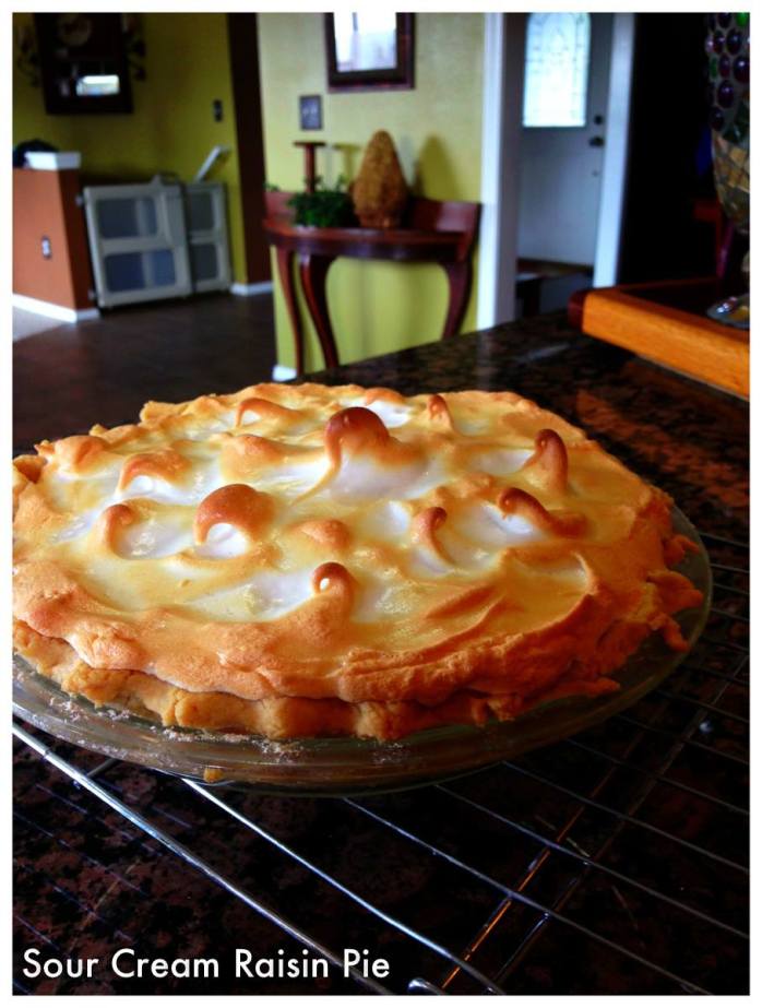 Sour Cream Raisin Pie